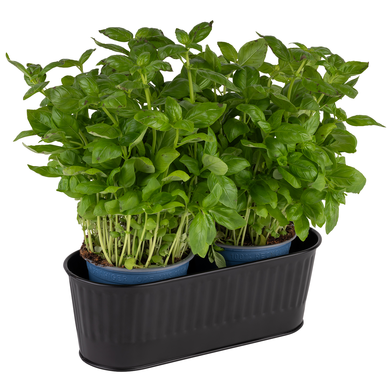 Besteckbehälter / Korb, Edelstahl 18/0, Boden: 29 x 8,5 cm, 29,5 x 12 x 10 cm, Farbe: schwarz