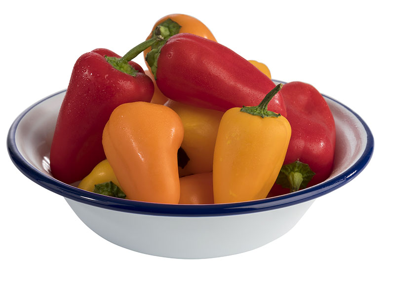 Schale, Emaille-Geschirr, D: 16,5 cm, H: 4,5 cm, 0,45 ltr., weisses Stahlblech, blauer Rand