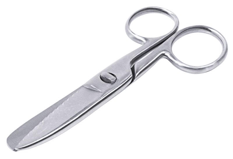 Fischschere, gezahnt, Edelstahl, L: 18,5 cm, Klingenlänge: 6,5 cm