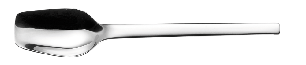 Picard & Wielpütz, Tools 6176 - Eislöffel 145 mm