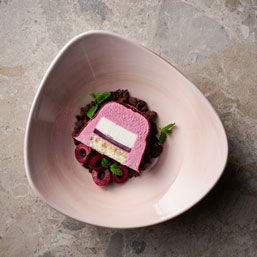 Stonecast Canvas - Coral