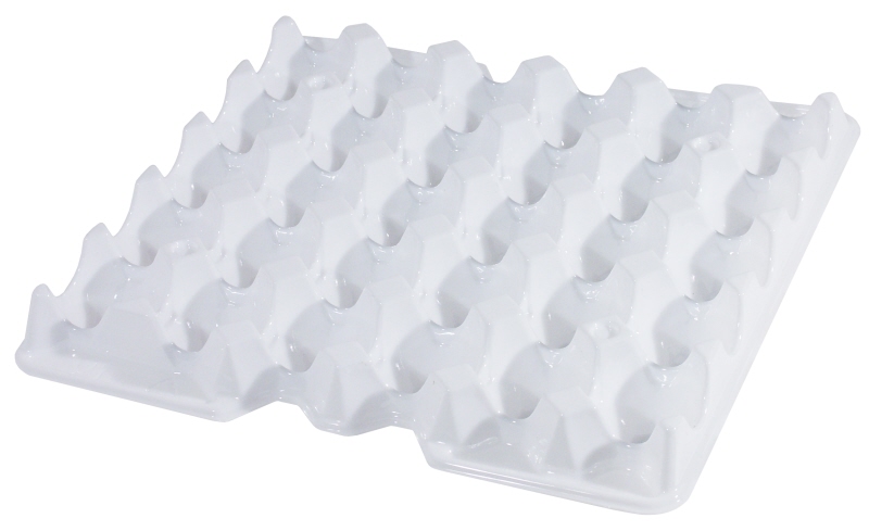 Einsatz für Eierbox, PE