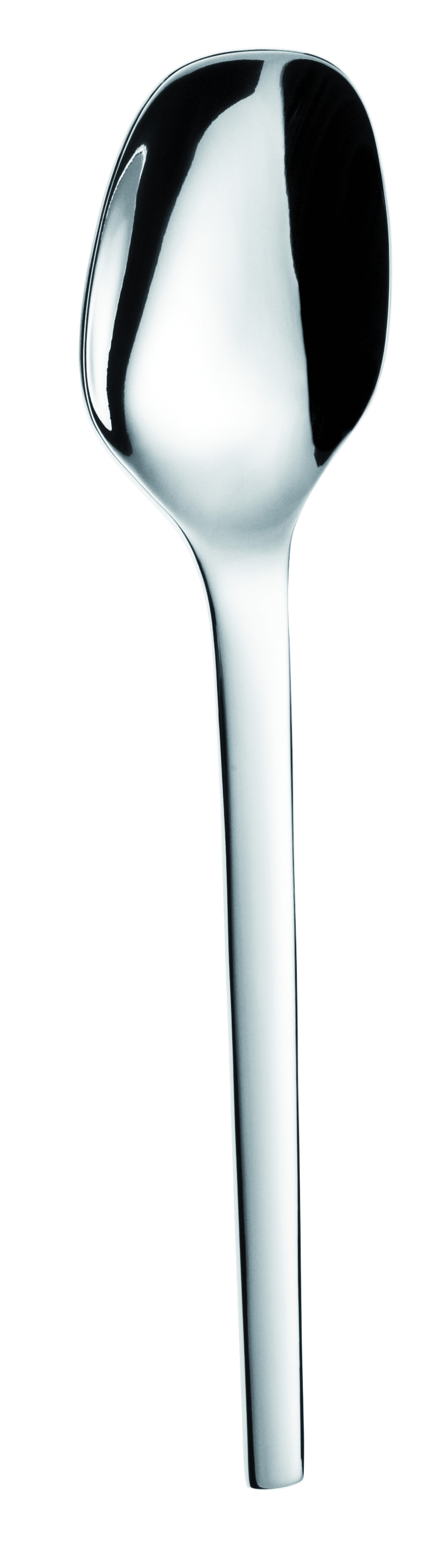 Picard & Wielpütz, Tools 6176 - Salatbesteck massiv (2-teilig) 210 mm