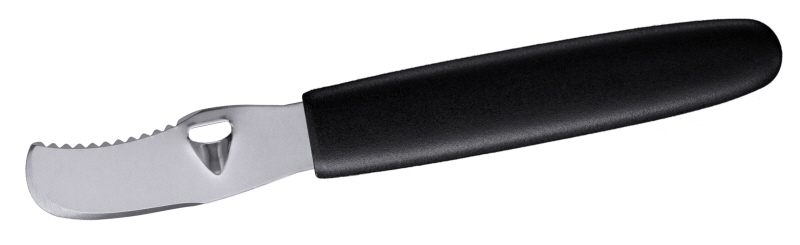 Orangenschäler, gezahnt, Edelstahl, L: 16,5 cm, Klingenlänge: 6 cm