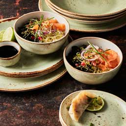 Steelite Craft - Green