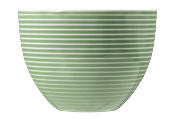 Seltmann Weiden, Beat : Salbeigrün - Milchkaffee-Obere mit Relief, 0,35 ltr.