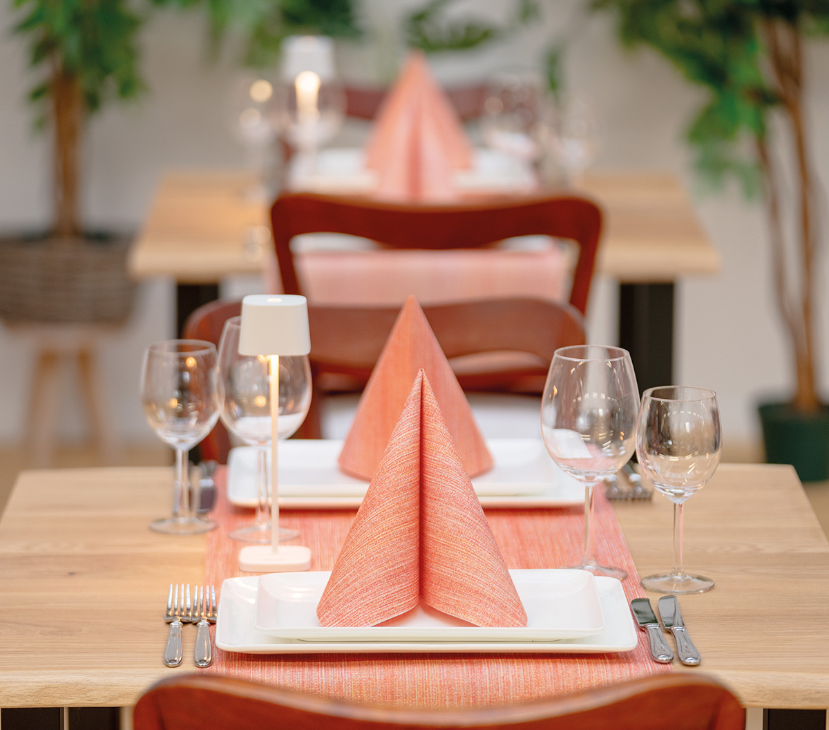 Servietten - DEVIN Linclass-Premium 40 x 40 cm