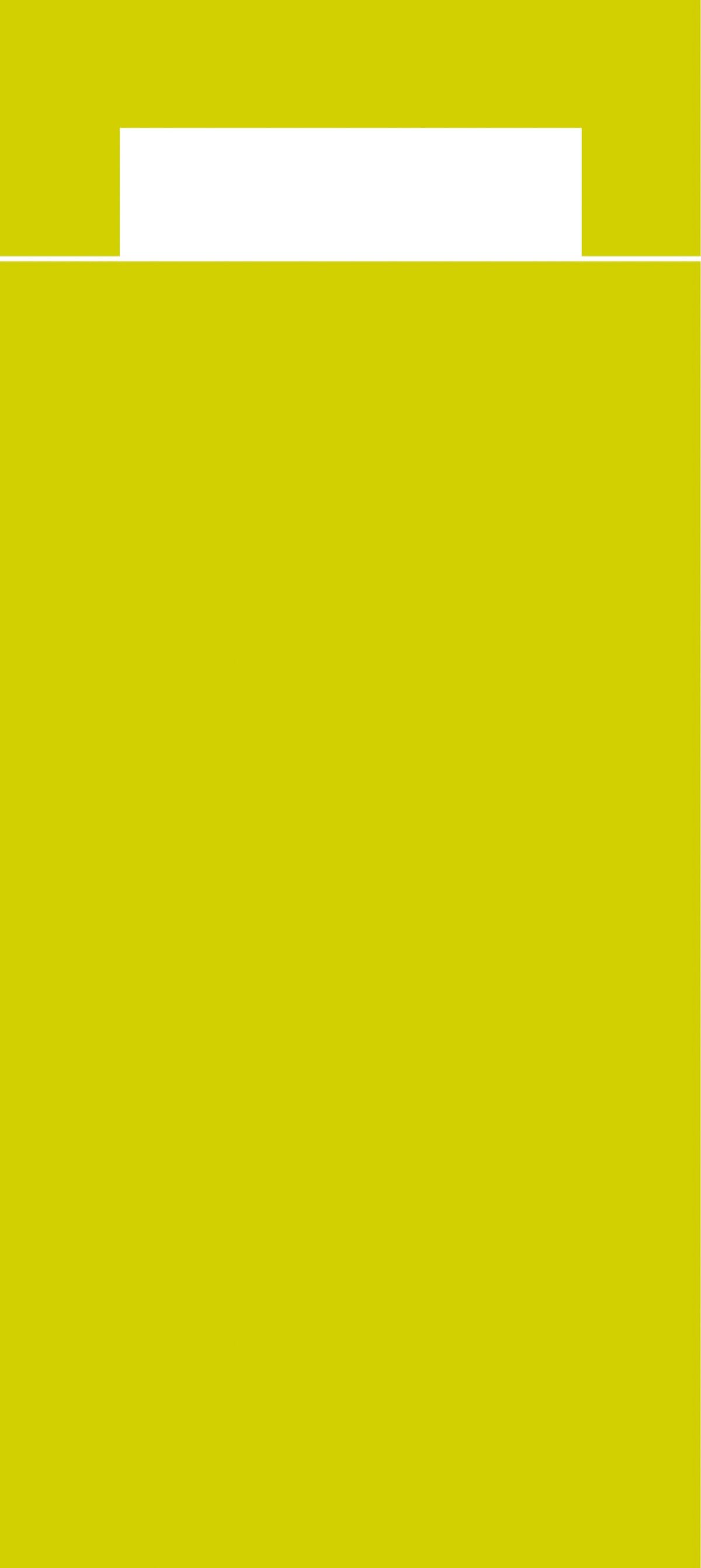 Papierbestecktaschen 20 x 8,5 cm m. Tissue Serviette