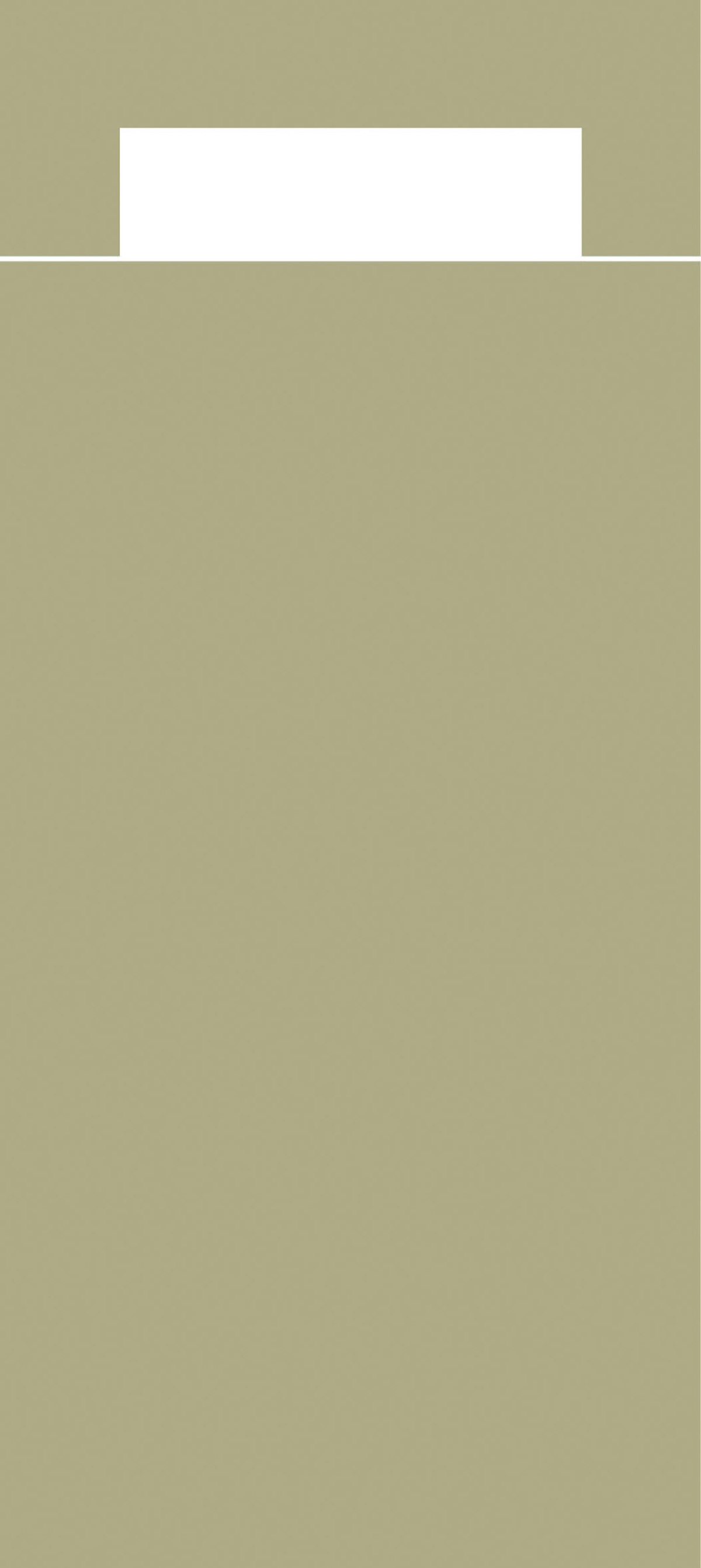 Papierbestecktaschen 20 x 8,5 cm m. Tissue Serviette