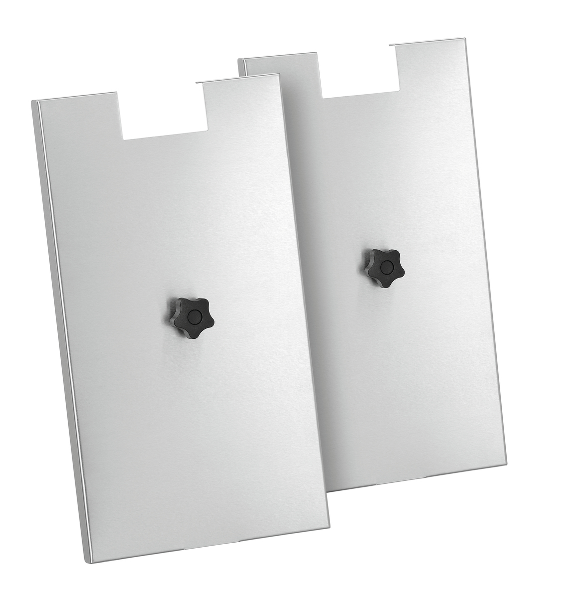 Fritteuse SNACK II Plus