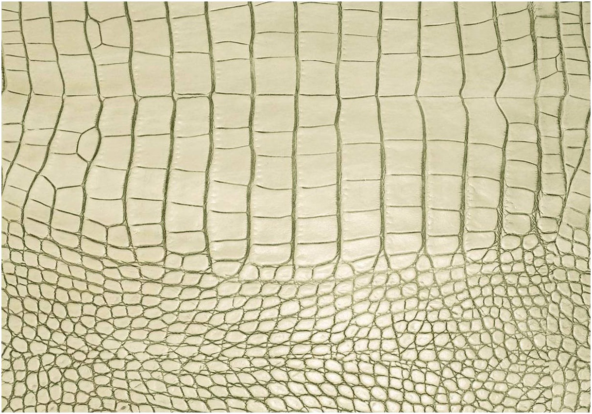 Tischset Gator - Recyceltes Leder