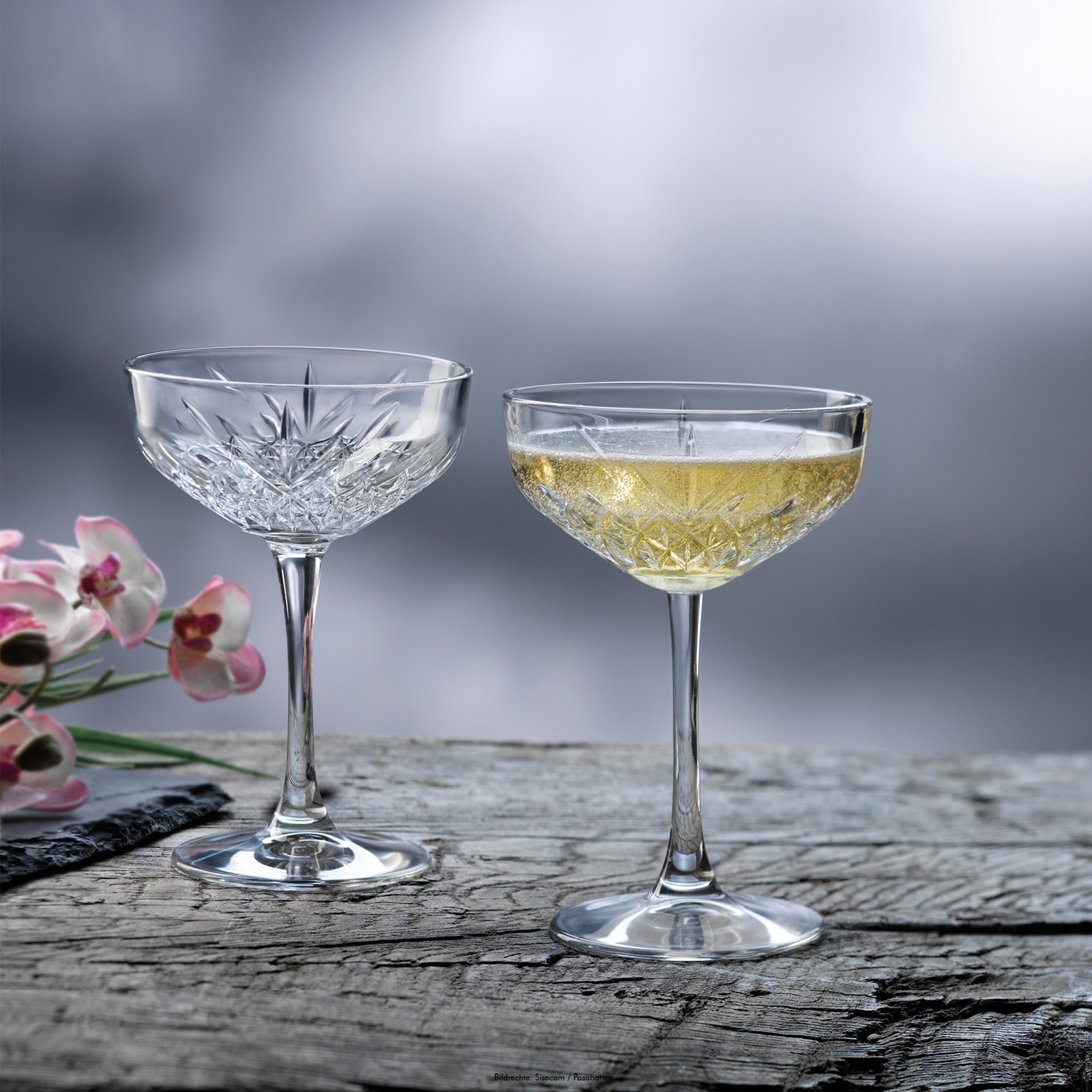 Sektschale : Timeless 27 cl, Inhalt: 270 ml, D: 108 mm, H: 157 mm