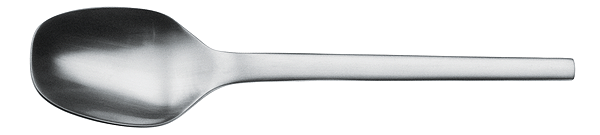 Picard & Wielpütz, Tools 6174 - Salatbesteck massiv (2-teilig) 210 mm