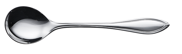 Picard & Wielpütz, Novara 6154 - Sahnelöffel 177 mm