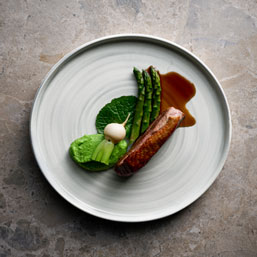 Stonecast Canvas - Grey