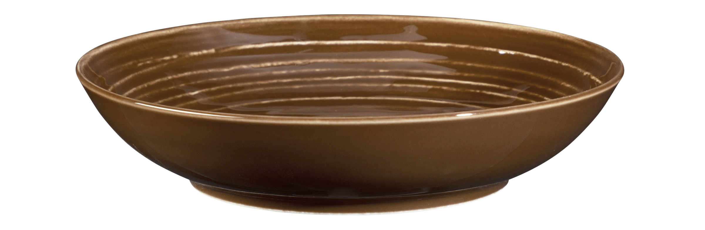 Seltmann Weiden, Terra : Erdbraun - Suppenteller rund, 21 cm