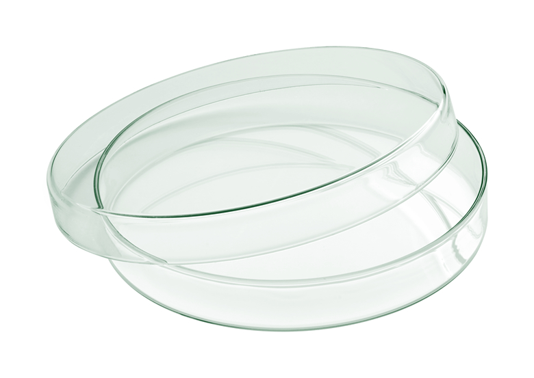 Playground, Glas - Glasschale mit Deckel flach 18 cm