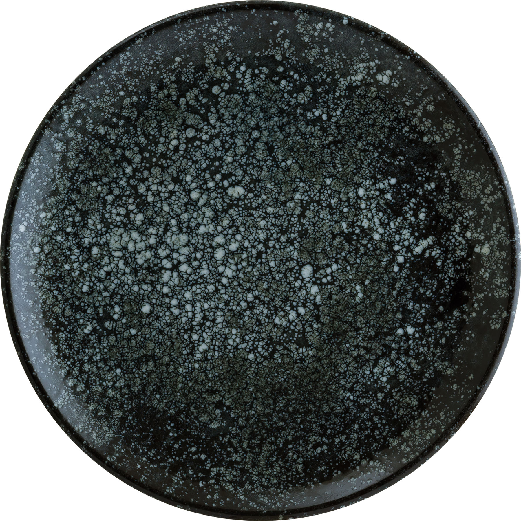 Cosmos, Black : Gourmet Teller flach Coup, 21 cm