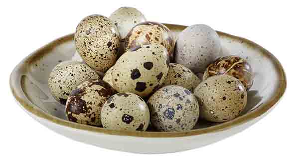 Schale STONE ART D: 15,5 cm, H: 2,5 cm, 0,15 ltr., Melamin, Rand: braun, weiss