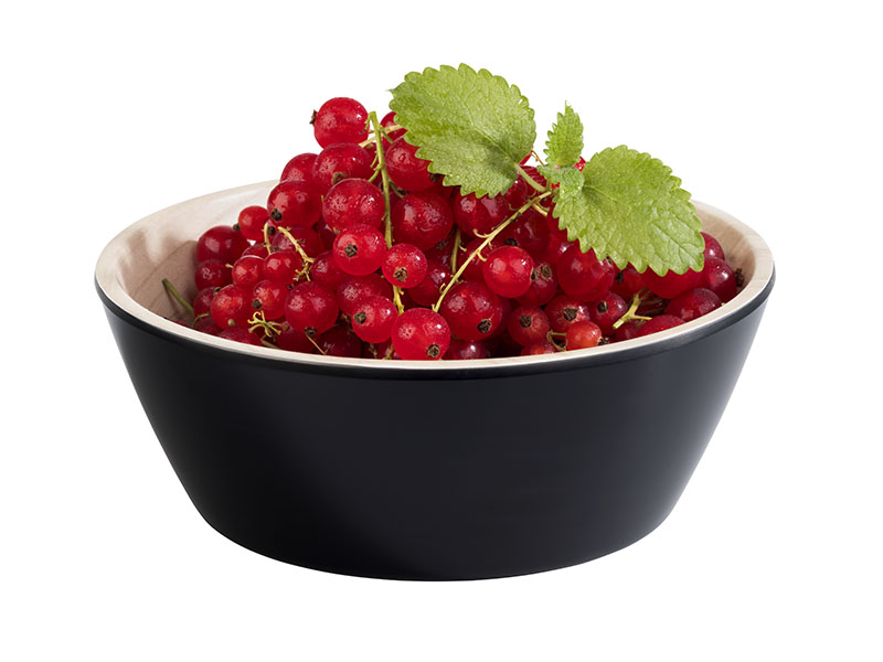 Schale FRIDA, Melamin, D: 15 cm, H: 5,5 cm, I: 3,4 ltr., innen: Holzoptik, außen: schwarz