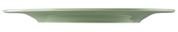 Seltmann Weiden, Beat : Salbeigrün - Speiseteller rund mit Relief, 27,5 cm