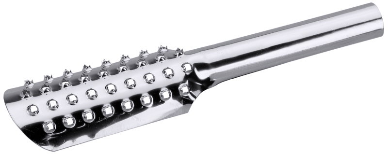 Fischentschupper, Edelstahl, 21 x 5 cm