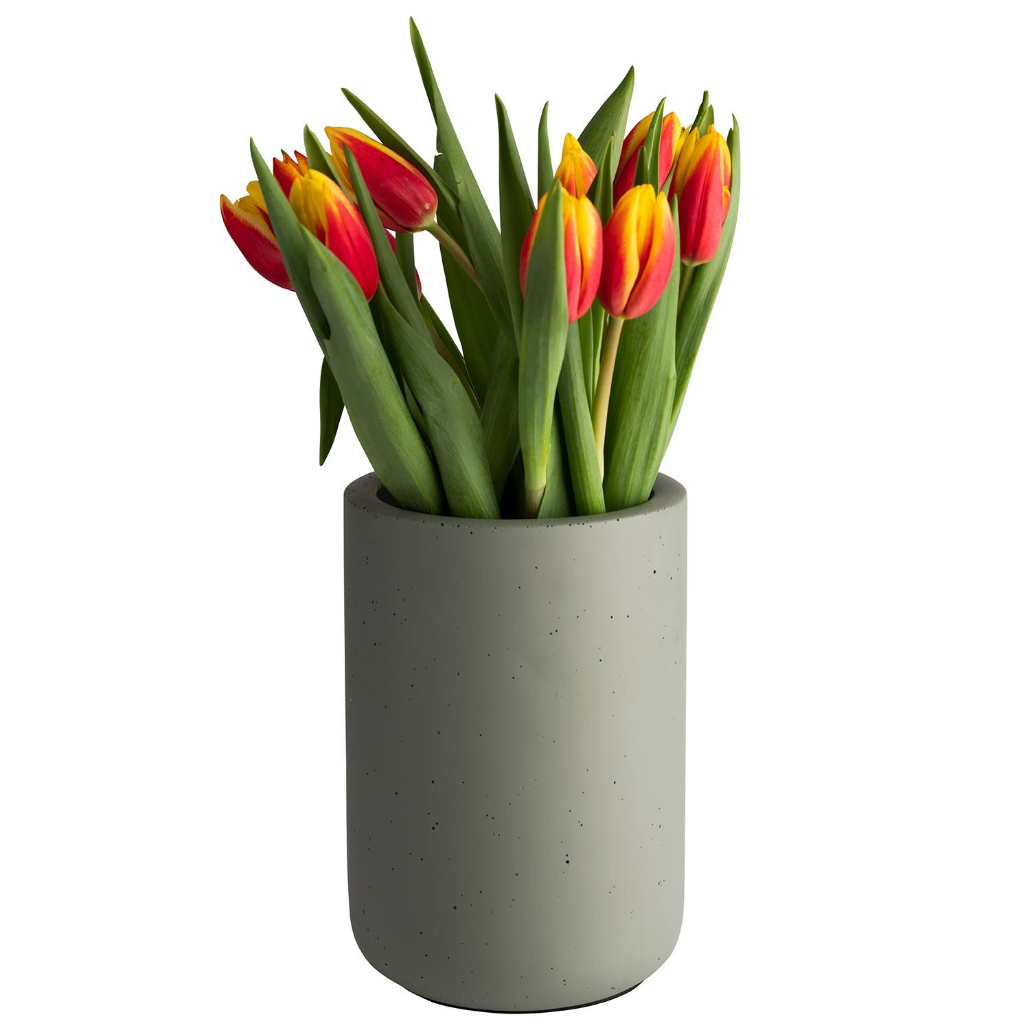 Flaschenkühler ELEMENT, Beton, D: 12/ 10 cm, H: 19 cm, Farbe: light green