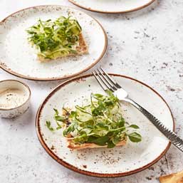 Steelite Craft - White