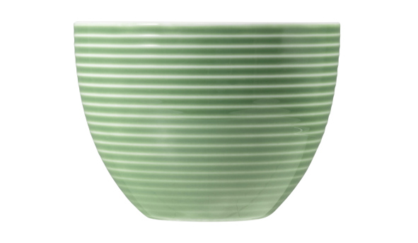 Seltmann Weiden, Beat : Salbeigrün - Kaffee-Obere mit Relief, 0,26 ltr.