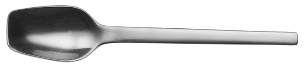 Picard & Wielpütz, Tools 6174 - Eislöffel 145 mm