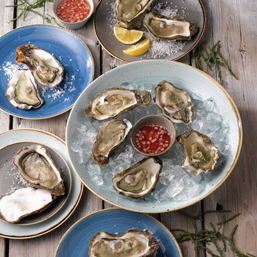 Stonecast - Duck Egg Blue