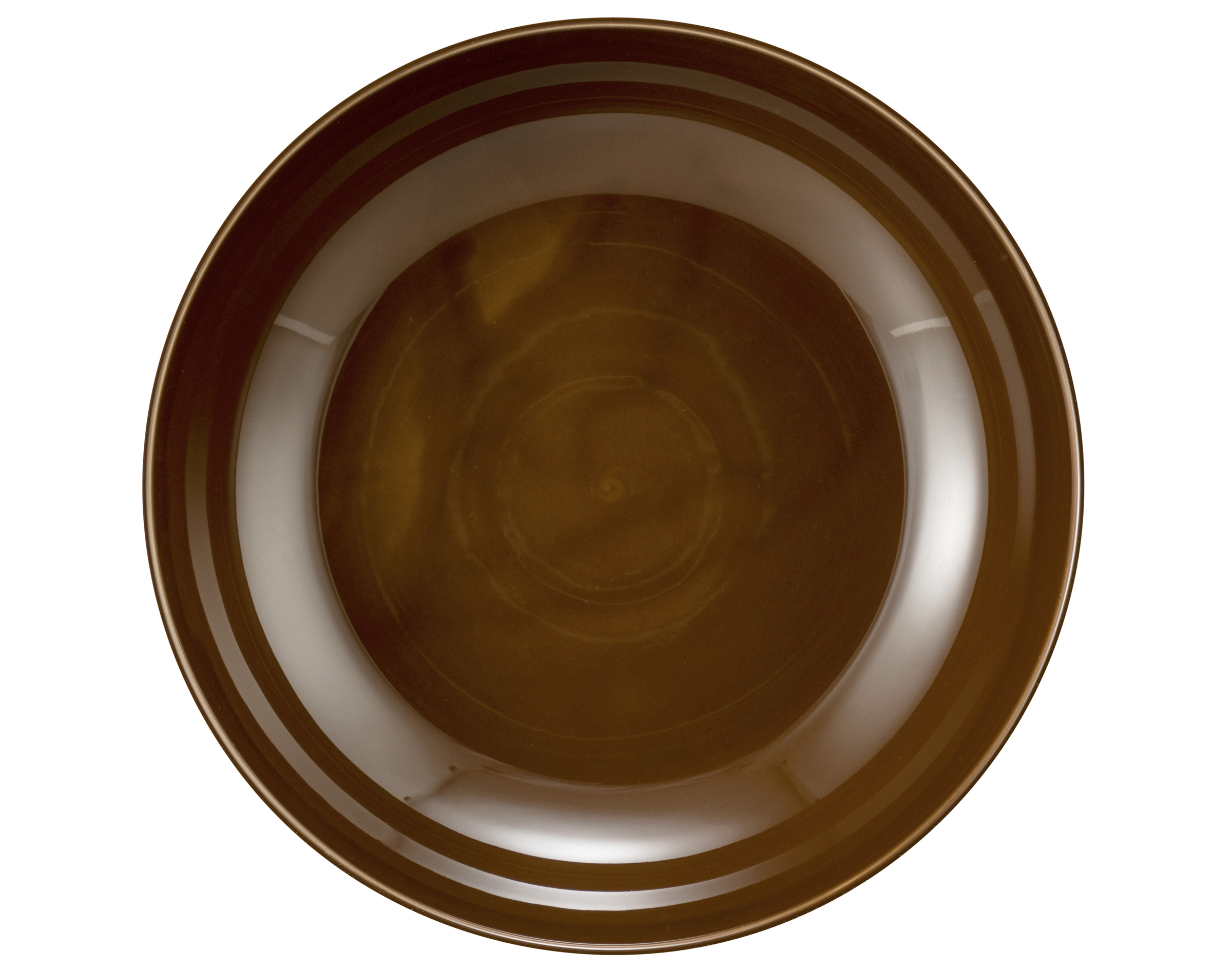 Seltmann Weiden, Terra : Erdbraun - Foodbowl 25 cm